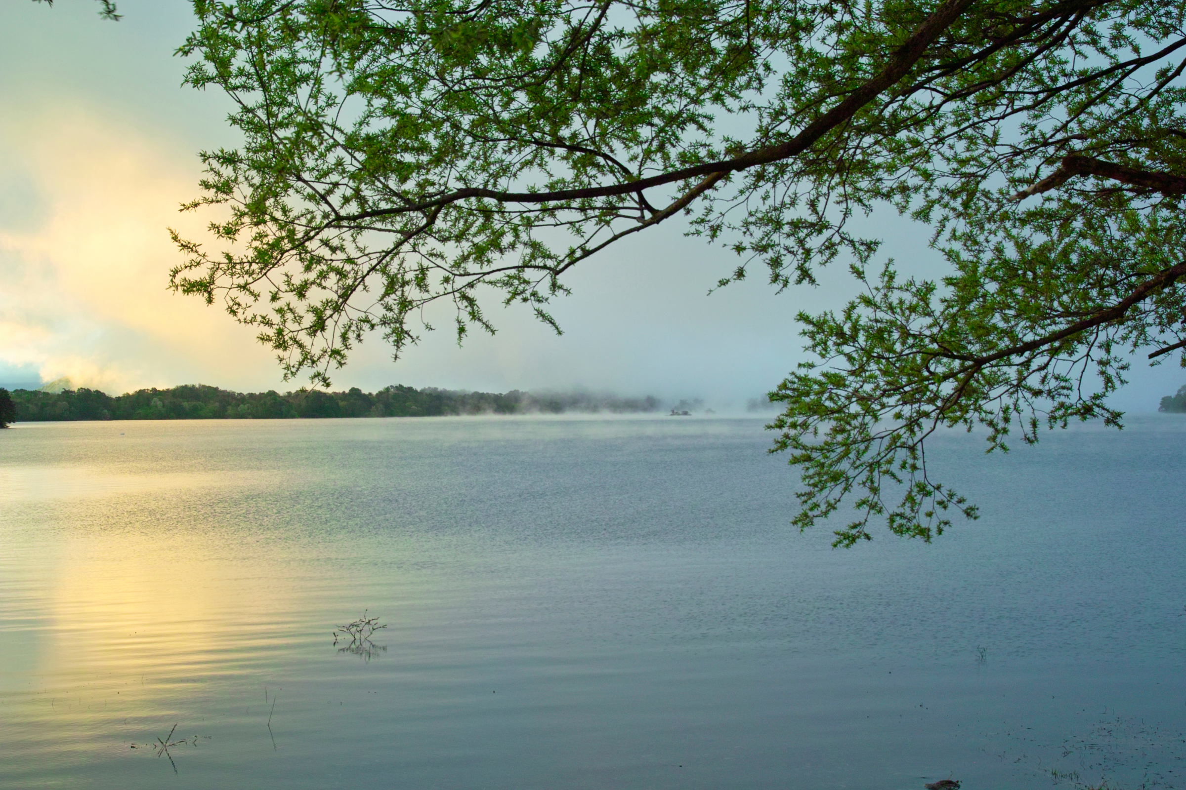lake hibara (2).webp